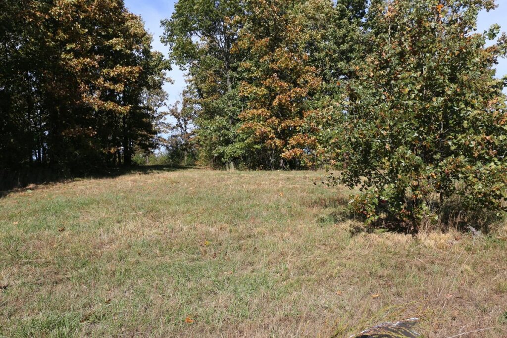 Property photo for land for sale in Howell County Missouri