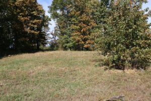 Property photo for land for sale in Howell County Missouri