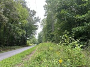 Property photo for land for sale in Halifax County Virginia