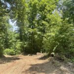 Property photo for land for sale in Boone County Arkansas