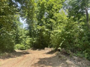 Property photo for land for sale in Boone County Arkansas