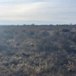 Property photo for land for sale in Torrance County New Mexico