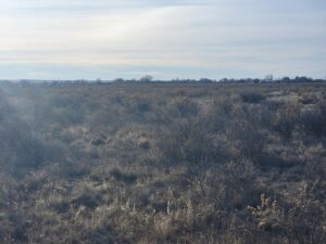 Property photo for land for sale in Torrance County New Mexico