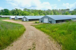 Property photo for land for sale in Copiah County Mississippi