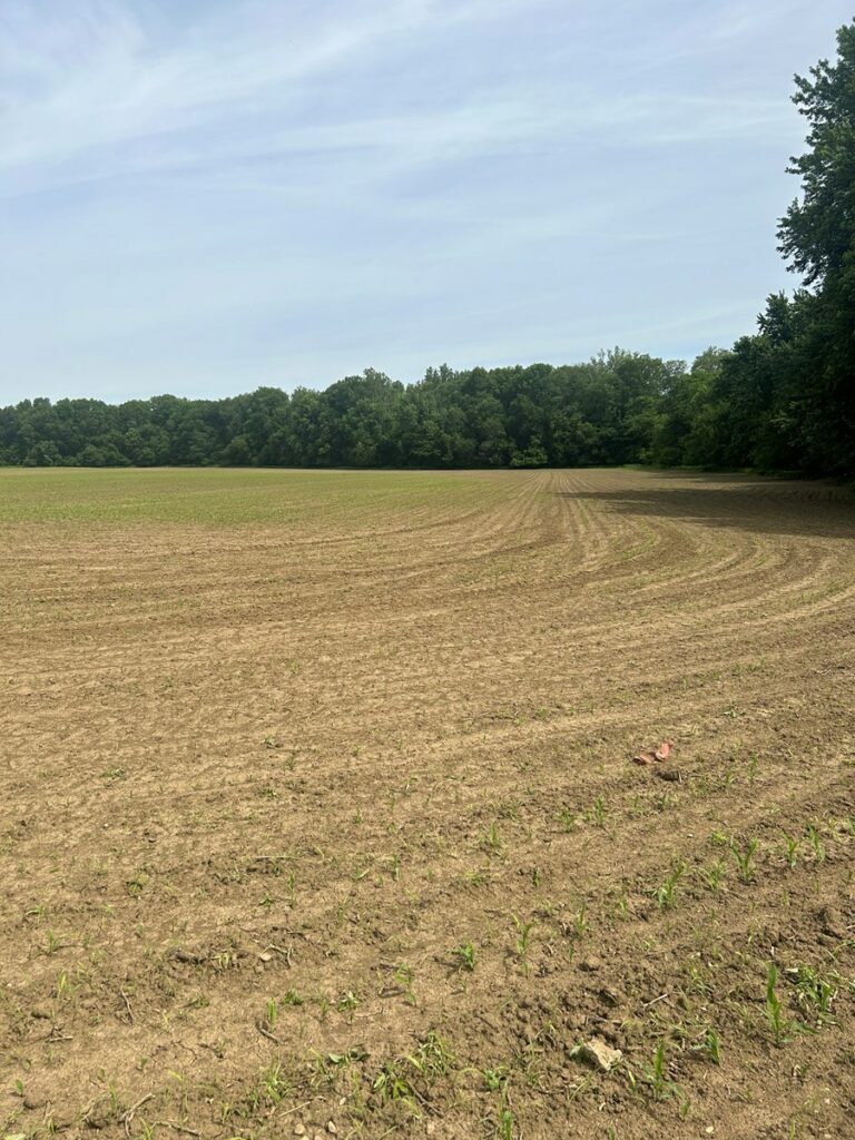 Property photo for land for sale in Johnson County Indiana