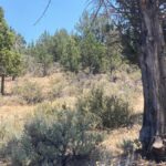 Property photo for land for sale in Lassen County California