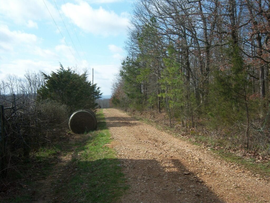 Property photo for land for sale in Stone County Arkansas