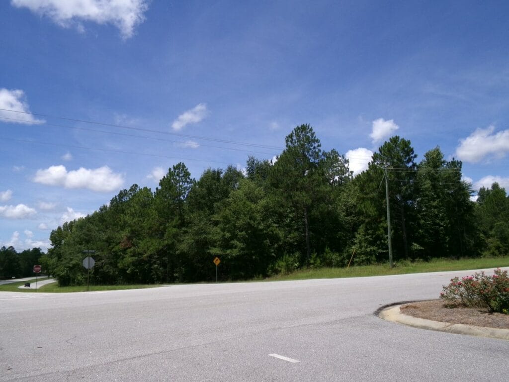 Property photo for land for sale in Emanuel County Georgia