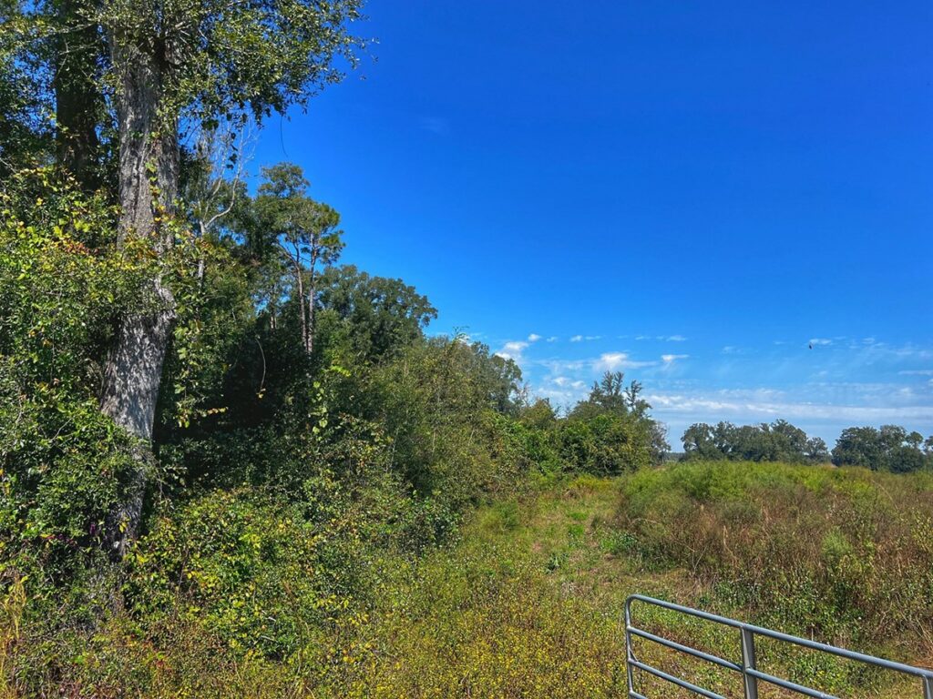 Property photo for land for sale in Gilchrist County Florida