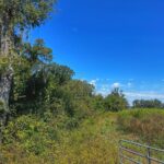 Property photo for land for sale in Gilchrist County Florida