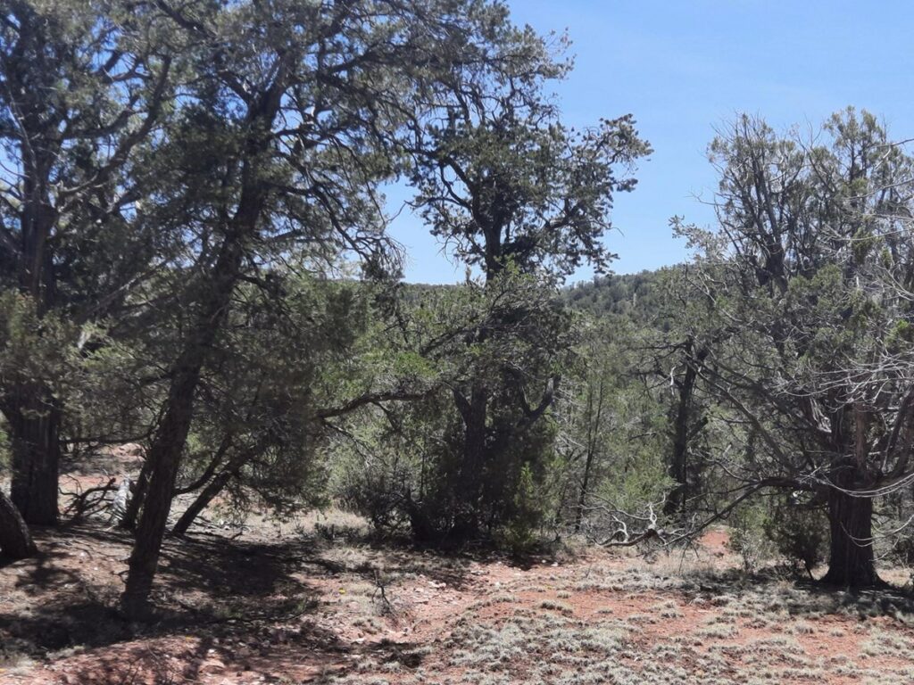 Property photo for land for sale in Yavapai County Arizona