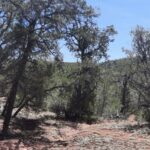 Property photo for land for sale in Yavapai County Arizona