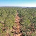 Property photo for land for sale in Amite County Mississippi