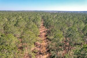 Property photo for land for sale in Amite County Mississippi