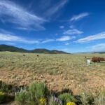 Property photo for land for sale in Custer County Colorado