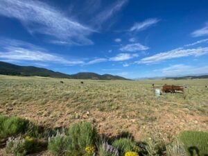 Property photo for land for sale in Custer County Colorado