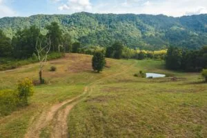 Property photo for land for sale in Hawkins County Tennessee