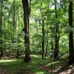 Property photo for land for sale in Roanoke County Virginia