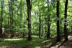 Property photo for land for sale in Roanoke County Virginia