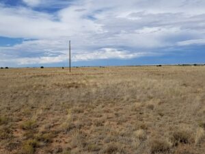 Property photo for land for sale in Torrance County New Mexico