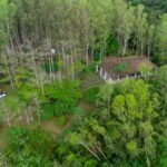 Property photo for land for sale in  County Panama