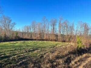 Property photo for land for sale in Spartanburg County South Carolina