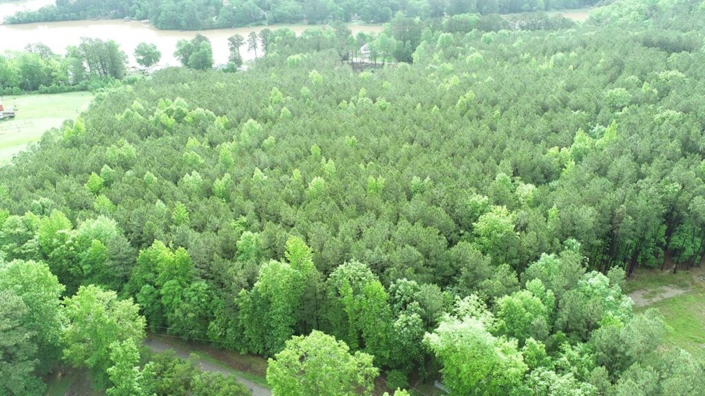 Property photo for land for sale in Fairfield County South Carolina