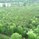 Property photo for land for sale in Fairfield County South Carolina