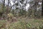 Property photo for land for sale in Suwannee County Florida