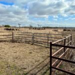 Property photo for land for sale in McLennan County Texas