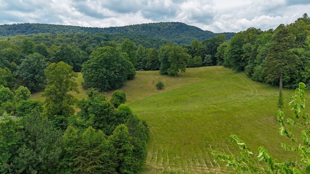 Property photo for land for sale in Patrick County Virginia