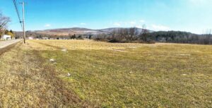 Property photo for land for sale in Tioga County Pennsylvania