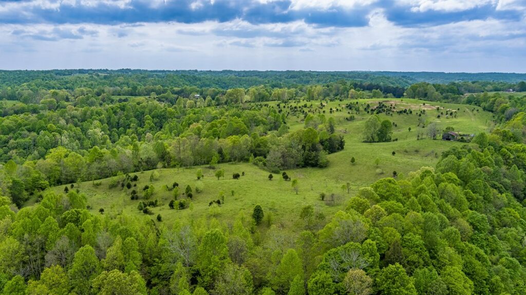 Property photo for land for sale in Clinton County Kentucky