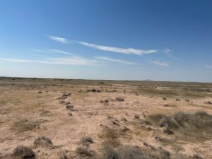 Property photo for land for sale in Luna County New Mexico