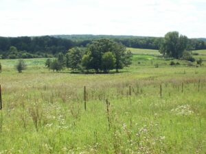 Property photo for land for sale in Green Lake County Wisconsin