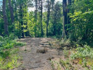 Property photo for land for sale in Cumberland County Maine