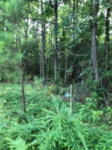 Property photo for land for sale in Fairfield County South Carolina