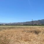 Property photo for land for sale in Yolo County California