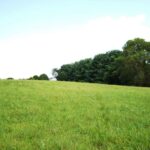 Property photo for land for sale in Wythe County Virginia