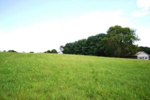 Property photo for land for sale in Wythe County Virginia