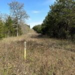 Property photo for land for sale in McCurtain County Oklahoma