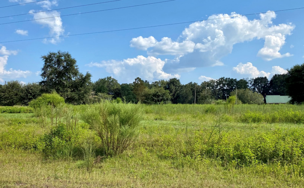 Property photo for land for sale in Hamilton County Florida