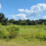 Property photo for land for sale in Hamilton County Florida