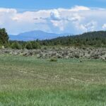 Property photo for land for sale in Rio Arriba County New Mexico