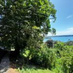 Property photo for land for sale in  County Panama