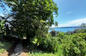 Property photo for land for sale in  County Panama