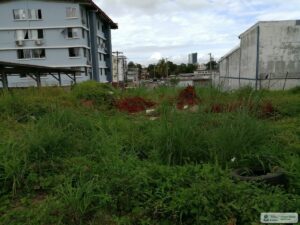 Property photo for land for sale in  County Panama