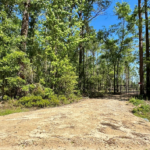 Property photo for land for sale in Hamilton County Florida