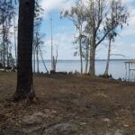 Property photo for land for sale in Beaufort County North Carolina