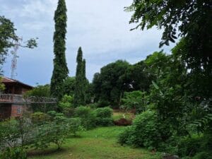 Property photo for land for sale in  County Panama